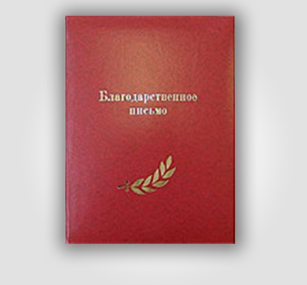 Папка из бумвинила с тиснением золотом